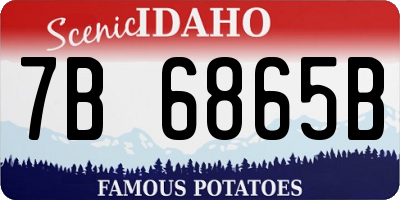 ID license plate 7B6865B