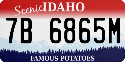 ID license plate 7B6865M