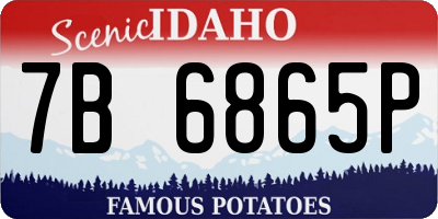 ID license plate 7B6865P