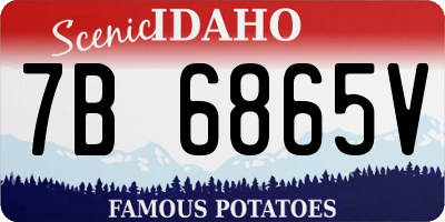ID license plate 7B6865V