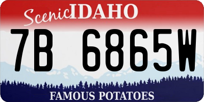 ID license plate 7B6865W