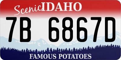 ID license plate 7B6867D