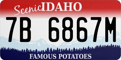 ID license plate 7B6867M
