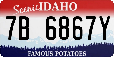 ID license plate 7B6867Y