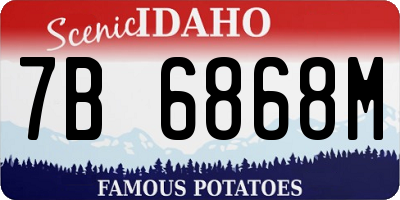 ID license plate 7B6868M