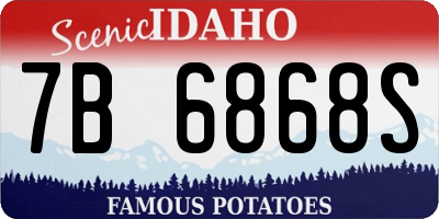ID license plate 7B6868S