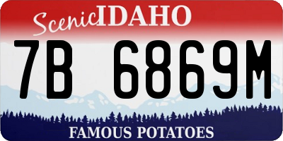 ID license plate 7B6869M