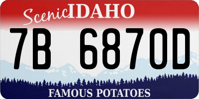 ID license plate 7B6870D