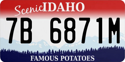 ID license plate 7B6871M
