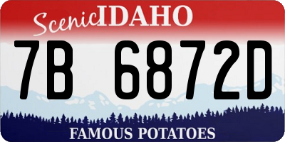 ID license plate 7B6872D