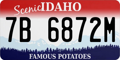 ID license plate 7B6872M