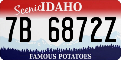 ID license plate 7B6872Z
