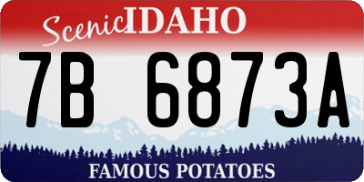 ID license plate 7B6873A