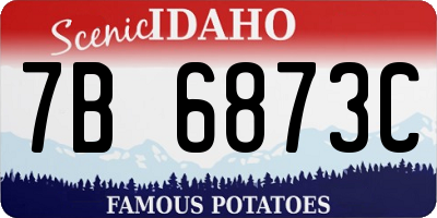ID license plate 7B6873C