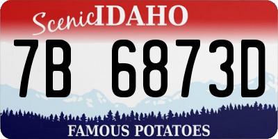 ID license plate 7B6873D