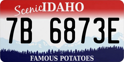 ID license plate 7B6873E