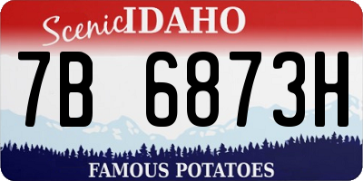 ID license plate 7B6873H