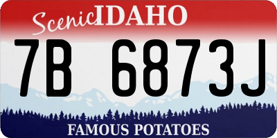 ID license plate 7B6873J