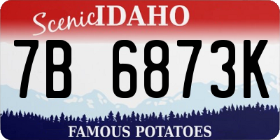 ID license plate 7B6873K