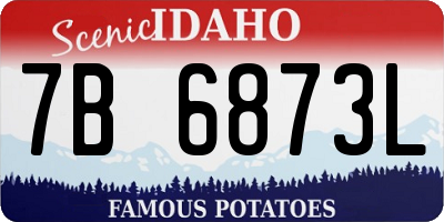 ID license plate 7B6873L