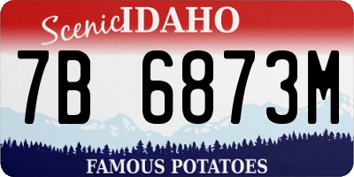 ID license plate 7B6873M