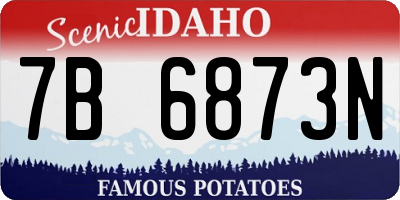 ID license plate 7B6873N