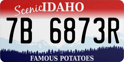 ID license plate 7B6873R