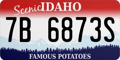 ID license plate 7B6873S