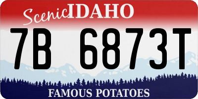 ID license plate 7B6873T