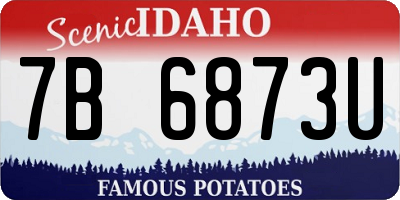 ID license plate 7B6873U