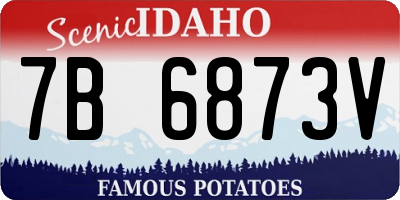 ID license plate 7B6873V