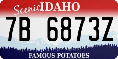ID license plate 7B6873Z