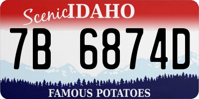 ID license plate 7B6874D