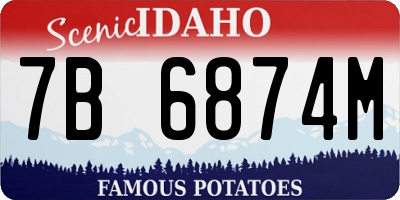 ID license plate 7B6874M