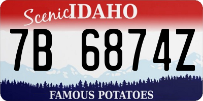 ID license plate 7B6874Z