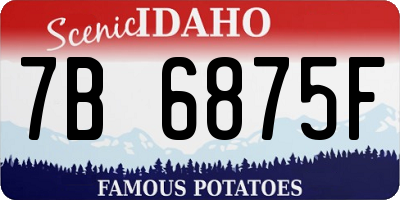 ID license plate 7B6875F
