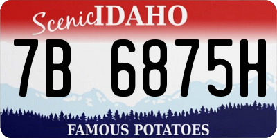 ID license plate 7B6875H
