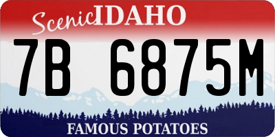 ID license plate 7B6875M