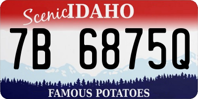 ID license plate 7B6875Q