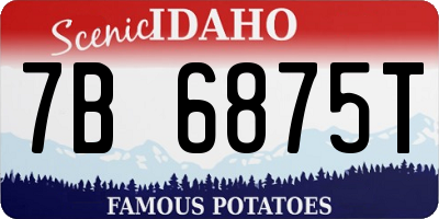 ID license plate 7B6875T