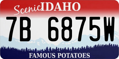 ID license plate 7B6875W