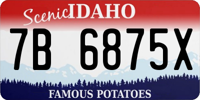 ID license plate 7B6875X