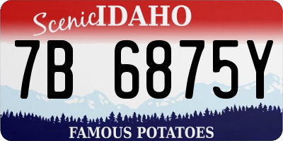 ID license plate 7B6875Y