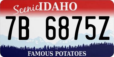 ID license plate 7B6875Z