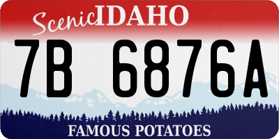 ID license plate 7B6876A