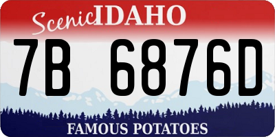 ID license plate 7B6876D