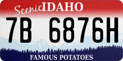 ID license plate 7B6876H