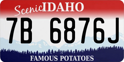 ID license plate 7B6876J