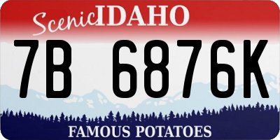 ID license plate 7B6876K