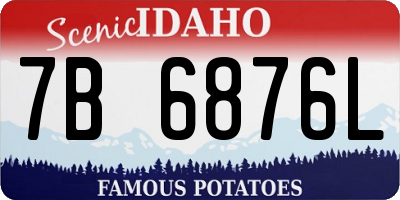 ID license plate 7B6876L